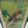 John Gallagher parrot pastel Image 2