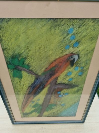 John Gallagher parrot pastel