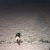 dstarr86