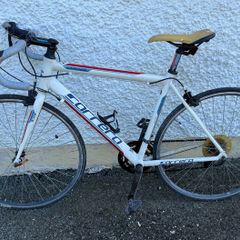 Carrera Road Bike