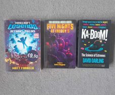 Gamer & Lego Character Books
