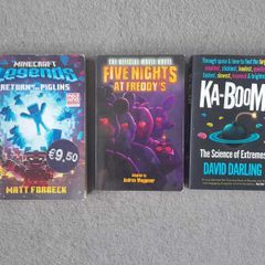 Gamer & Lego Character Books