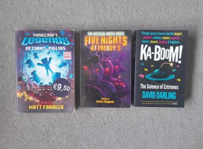 Gamer & Lego Character Books