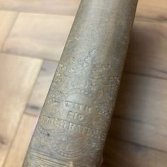 1868 book The Bird by Jules Mitchelet