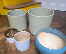 Selection of Plant Pots