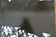 Songs : Ohia - Didn't It Rain