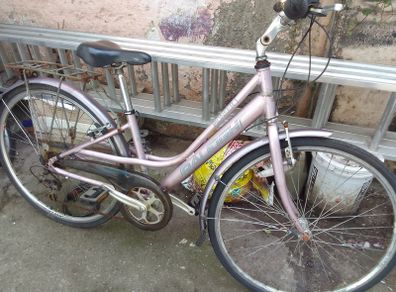 lady   bike for sale
