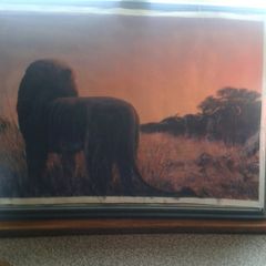 Beautiful African Oil Painting