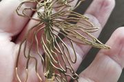 Mugler hair clip.