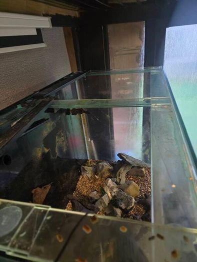 1000ltr Fish Tank Best Offer Takes It, Need It Gone Asap