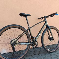 Trek dual sport