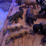 schleich wildlife toys Image 4