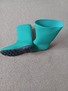 Wellington boots