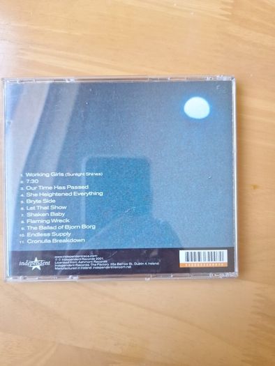 CD Pernice Brothers The World Won't End