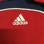 British And Irish Lions Rugby. Official Adidas Mens Polo Shirt. Collect In Dublin Or Receive Via Post. Image 5