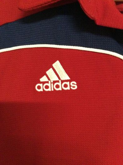 British And Irish Lions Rugby. Official Adidas Mens Polo Shirt. Collect In Dublin Or Receive Via Post.