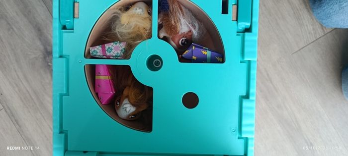 Pets Alive