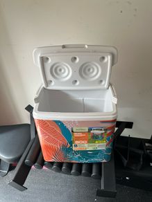 Coolerbox 17L