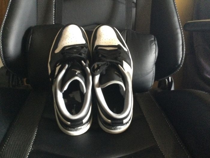 Jordan 1 low