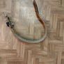 Weight Lifting Belt Image 5