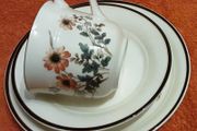 arklow Pottery honey stone