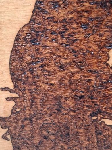 Original Pyrography of Che Guevara