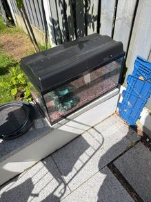 Fish Tank