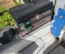 Fish Tank