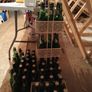Beer Bottles. Home Brew Image 4
