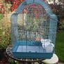 New bird cage Image 3