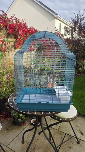 New bird cage