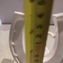Rare find Cherub  Porcelain Horseshoe as flower vase held with child . Image 4