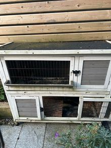 rabbit hut