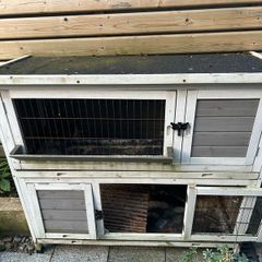 rabbit hut