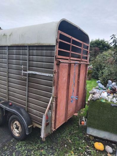 horse box open to offers sound box double treated floor no rot this box has perfect Strong sides will do cattle either make brilliant coffee box