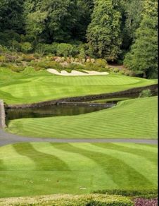 Druids Glen Fourball