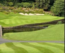 Druids Glen Fourball