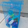 hamster cage Image 2