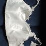 Bridal top Image 8