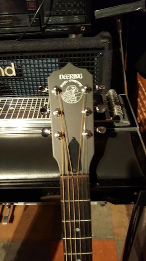 Deering Boston 6 string banjo