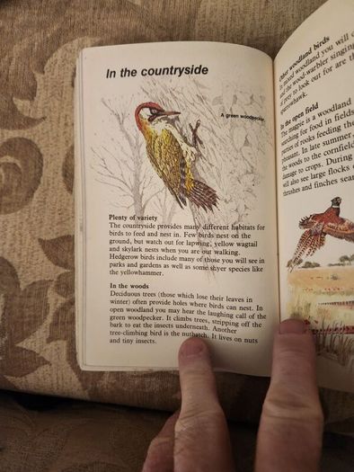 Whizz Kids. Birdwatching First Edition Vintage 1979 Paperback In Good Condition. 36.
