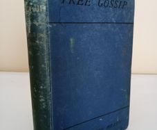Tree Gossip by Francis George Heath (PT259)