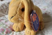 Lop ear rabbit soft toy / teddy