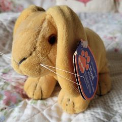 Lop ear rabbit soft toy / teddy