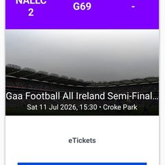 2 x Croke Park tickets Mayo vs Louth - Nally Stand