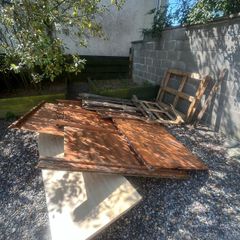 Wood need gone asap