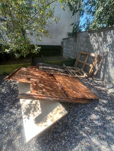 Wood need gone asap