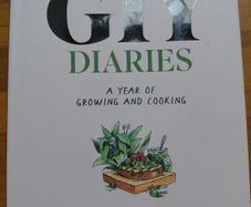 GIY Diaries