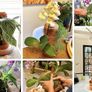 Terracotta Plant Pots Flower 5.7 Inch Self Watering No Soil Planter for Indoor Outdoor Hydroponic Image 5