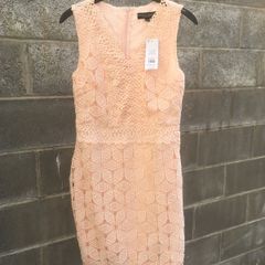 BRAND NEW WITH TAGS, Dorothy Perkins Lace Dress, Size 12